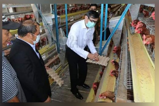 Menkumham Kunjungi Peternakan Telur Ayam di Nias