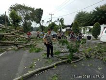 Singkirkan Pohon Tumbang, Polsek Medan Baru Turunkan Bhabinkamtibmas