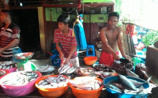 Produksi Ikan Gabion Belawan Turun Signifikan