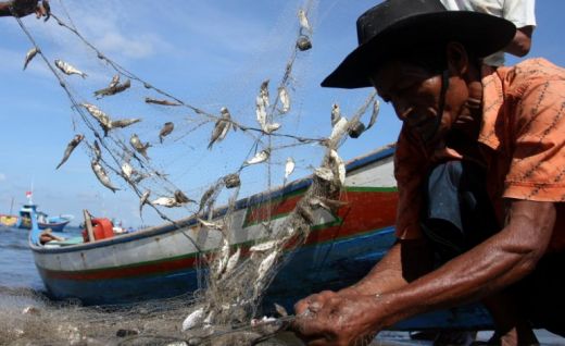 Pasca Pemberlakuan Permen KP 02/2015, Produksi Ikan Sibolga Terus Anjlok