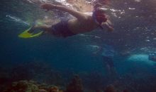 Snorkeling di Tureloto Sihar Terpesona Disapa Ikan Nemo
