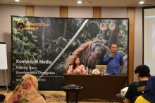 Orangutan Haven, Taman Perlindungan Satwa dan Sarana Pendidikan Baru yang Unik di Sumut