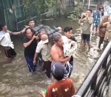 20 Tahun Dipelihara, Seekor Buaya Sepanjang 3 Meter Milik Warga Sei Rampah Dievakuasi BBKSDA Sumut