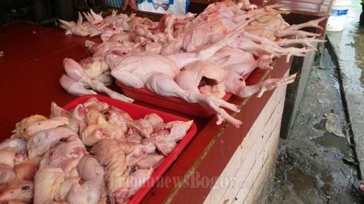 Pastikan Produk Halal, MUI Medan Sasar Pedagang Ayam