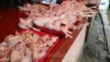 Pastikan Produk Halal, MUI Medan Sasar Pedagang Ayam