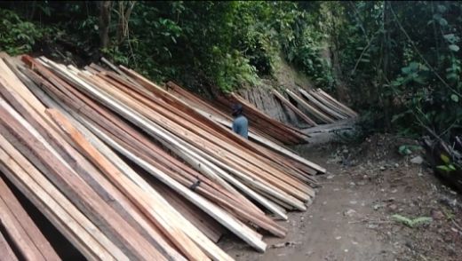 Dinas Kehutanan Sumut Lakukan Penyidikan Penebangan Pohon di Hutan Desa Buluhawar