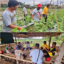 Bantu Masyarakat, Pabrik AQUA Langkat Giatkan Pertanian Ramah Lingkungan di Kwala Mencirim