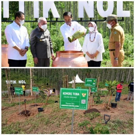 Selain Bawa Air dan Tanah Deli, Gubernur Edy Juga Tanam Kemiri Toba di  IKN Nusantara