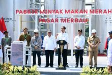 Presiden Jokowi Resmikan Pabrik Minyak Makan Merah di Pagar Merbau, Industri Hilir Berbasis Koperasi Rakyat di Sumut