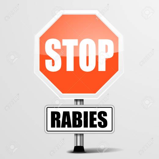 2 Tahun Terakhir, Kasus rabies Meningkat