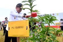 Inisiasi Kemenko PMK dan Polri,  Pj Gubernur Sumut Dukung Penuh Penanaman 10 Juta Pohon