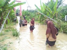 5 Rumah Warga Terendam Banjir