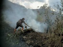 Dandim Pidie Ungkap Penyebab Maraknya Kebakaran Hutan dan Lahan
