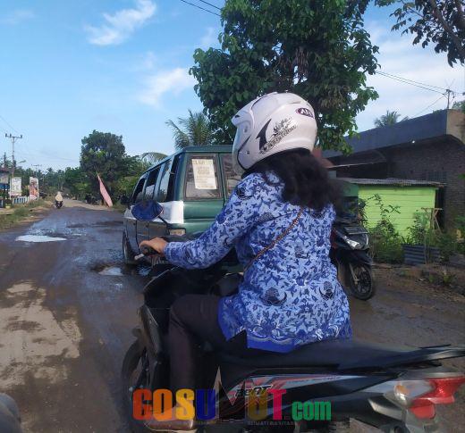Tak Tersentuh Perbaikan, Kerusakan Jalan Poros di Kabupaten Labuhanbatu kian Parah