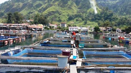 Pemprovsu akan Batasin Produksi Ikan KJA di Danau Toba