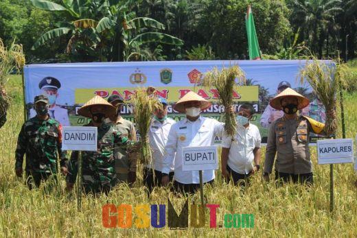 Kapolres Labuhanbatu Launching Kampung Tangguh Basimpul Kuat Babontuk Elok