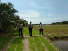 Silaturahmi ke Kelompok Tani, Kanit Binmas Kualuh Hulu Canangkan Kampung Paten
