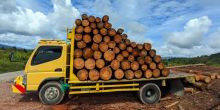 DLHK Sumut Amankan Truk Diduga Angkut Kayu Ilegal Logging di Taput