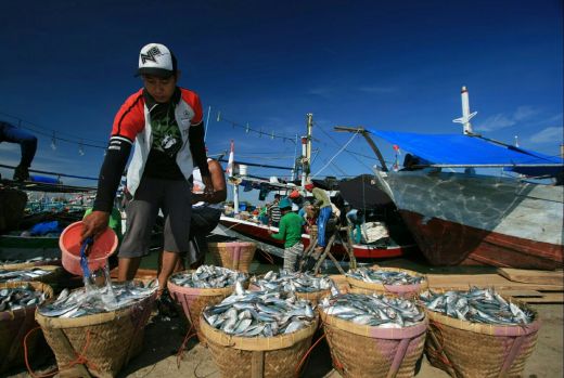 Cuaca Ekstrim Picu Lonjakan Harga Ikan di Langkat