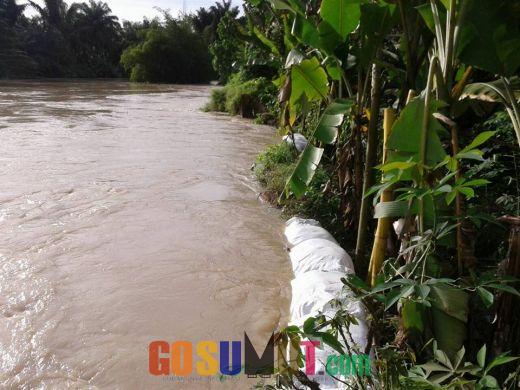 Waspada ! Tanggul Sungai Padang Jebol, Puluhan Rumah di Bandar Khalifah Tergenang Air