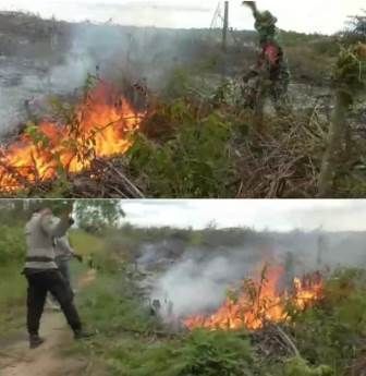2 Hektar Lahan di Sosa Julu, Terbakar