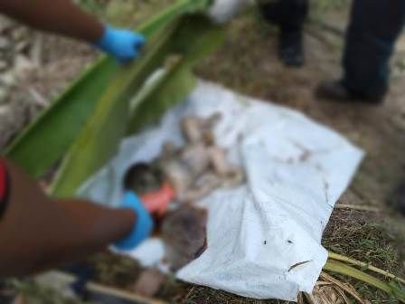 Temuan Mayat Bayi di Sungai Desa Sei Silau Barat Asahan Terungkap, Pelaku Ibu Kandungnya