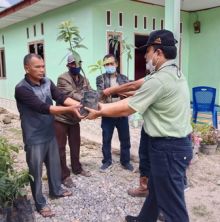 TPL berikan Bantuan Bibit Alpokat di Desa Sabungan Ni Huta IV