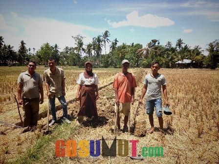 Desa Siolip Prioritaskan Infastruktur Jalan Sertu 727 M, Petani pun Mudah Membawa Hasil Panen