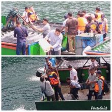 Dukung Nelayan dan Ketahanan Pangan  dengan  Menebar 100 Ribu Benih Tilapia di Danau Toba