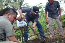 FKBPPPN Kota Padangsidimpuan Gelar Penanaman Pohon