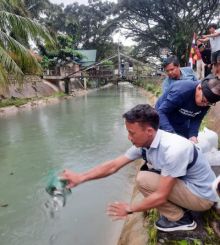 Komunitas MPSB Launching Lubuk Larangan , Tabur 2000 Ekor Bibit Ikan di Irigasi Bukit Lawang