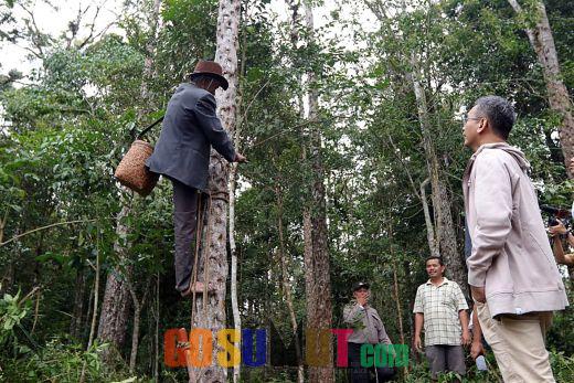 Bertemu Petani Kemenyan, Sihar Diharapkan Benahi Hutan