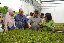 FOReTIKA se-Indonesia Kunjungi TPL, Percontohan Teknologi Pengelolaan Industri HTI