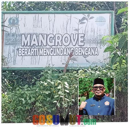 Soal Kerusakan Hutan Mangrove Sibolga, Depot BBM Pertamina harus Bertanggung Jawab