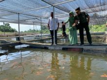 Kecamatan Langkahan Daerah Potensial Budidaya Ikan Air Tawar