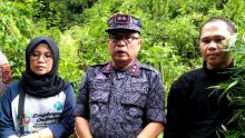 Produski Ganja di Madina Sudah Merambah ke Pulau Jawa, BNN Minta Proaktif Pemerintah Daerah 