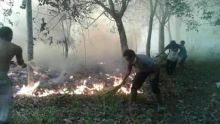 10 Hektare Lahan di Paluta Ludes Terbakar