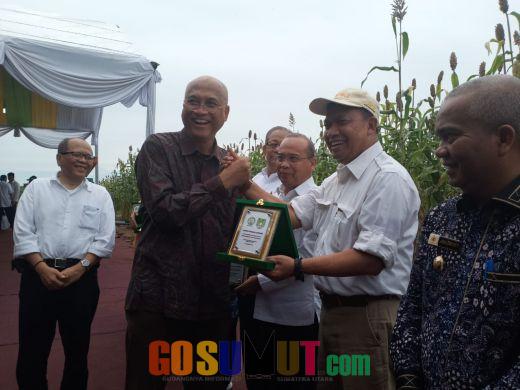 Paya Pinang Group Dengan GAPKI Sumut Lakukan Penelitian Sorgum di Sergai