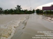 Dampak Tanggul Sungai Martebing Jebol, 400 Hektar Sawah Petani Terancam Gagal Panen