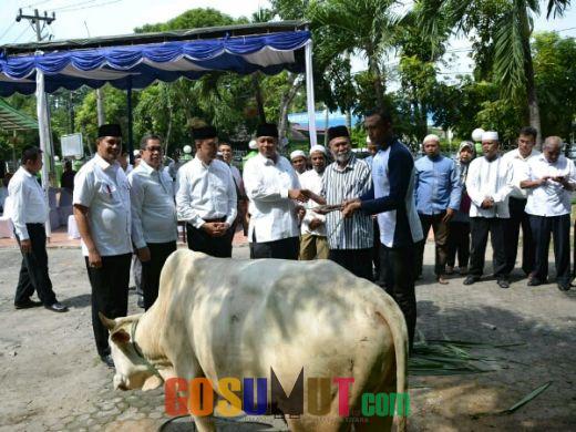 PDAM Tirtanadi Sumbang 13 Ekor Lembu untuk Peringati Idul Adha 1439 H
