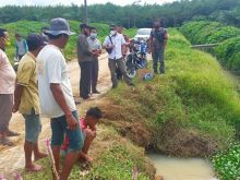 Terkait Lahan Petani yang Terimbas Gagal Panen,  Manajer PTPN III Tanah Raja: Tanggal 25 Oktober Akan Diperbaiki