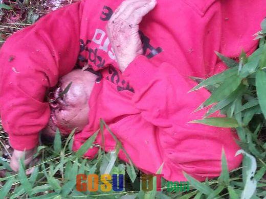 Heboh, Warga Padang Lawas Temukan  Mayat  di Kebun Karet