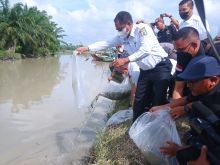 Tabur 3000 Bibit Ikan Nila, Darma Wijaya Apresiasi PWI Sergai dan RSI