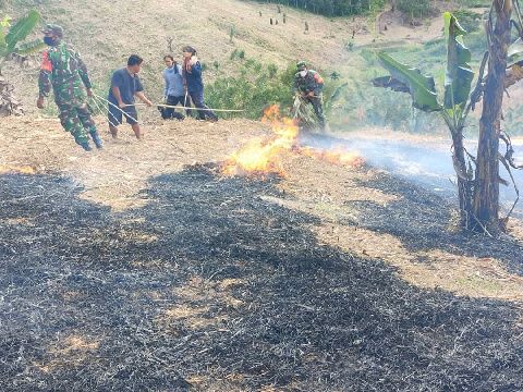 TNI Bersama Warga  Padamkan Api dikawasan Perladangan  Desa Naga Timbul