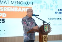 Musrenbang RKPD Asahan Tahun 2025, Bupati Minta Perangkat Daerah Pedomani 10 Program Prioritas 
