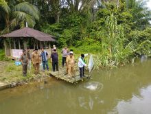 Jaga Kelestarian Lingkungan, Plt Bupati Palas Tabur Benih Ikan di Aliran Sungai