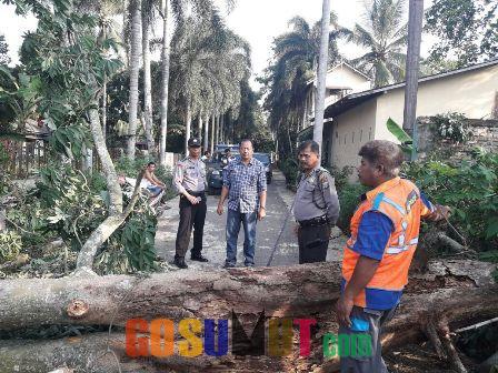 Polsek Pancurbatu Evakuasi Pohon Tumbang yang Timpa Gereja