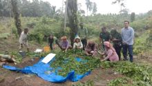 PT TPL Adakan Pelatihan Cara Pembuatan Kompos kepada Kelompok Tani Dos Roha Naga Hulambu