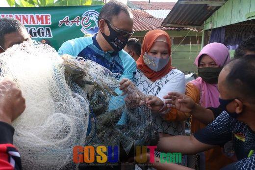 Udang Vaname Menjadi Produk Unggulan Pesisir Utara Aceh