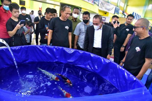 Pecinta Ikan Gelar Koi Show Sumut 2022 di Medan, Gubernur Edy Ikut Meramaikan